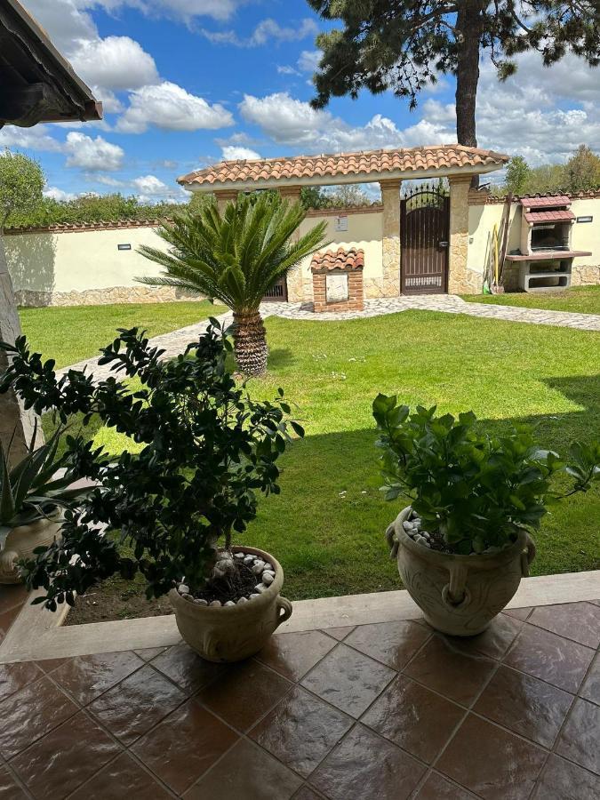 Gold House Luxury Anzio Villa Exterior foto