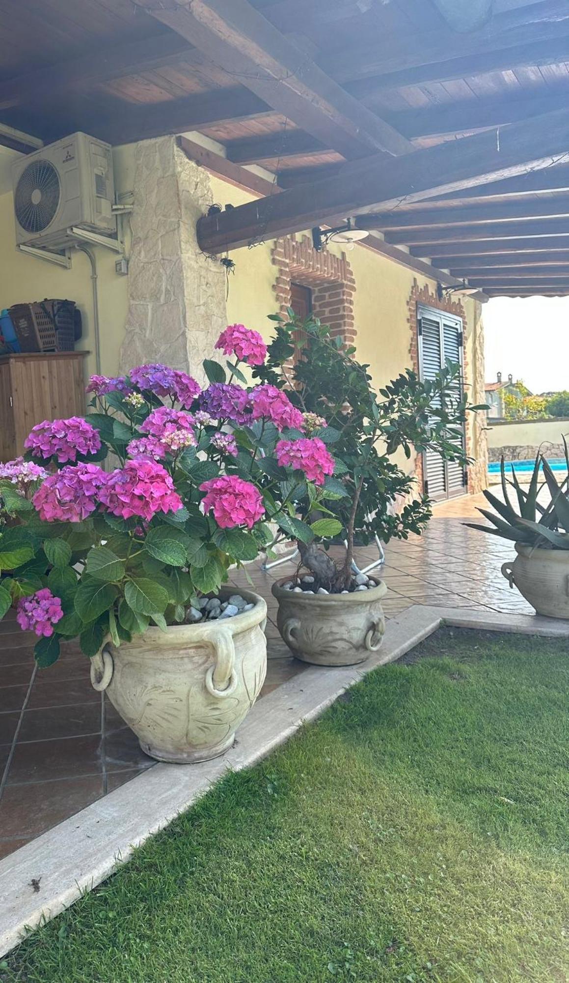 Gold House Luxury Anzio Villa Exterior foto