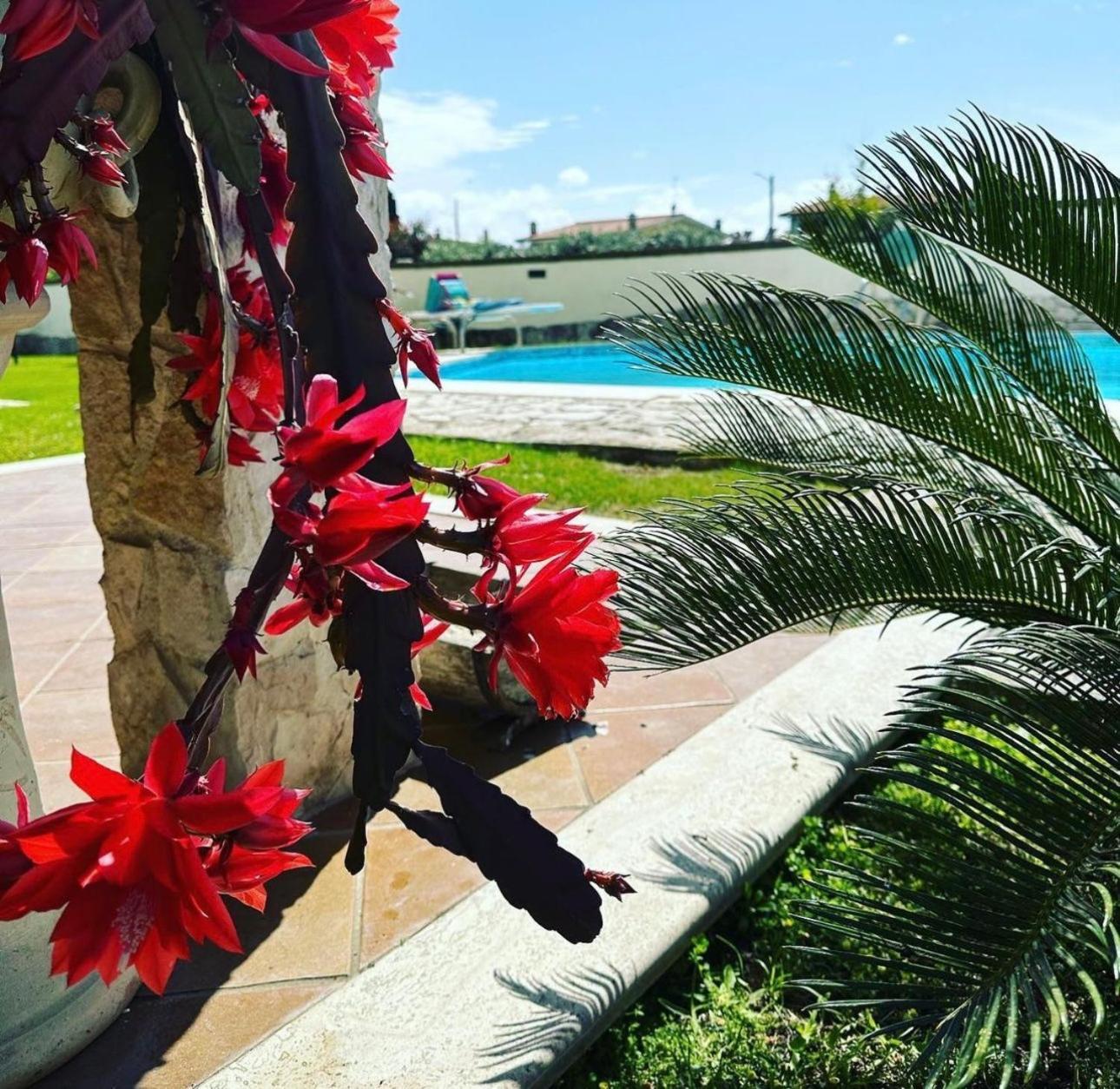 Gold House Luxury Anzio Villa Exterior foto