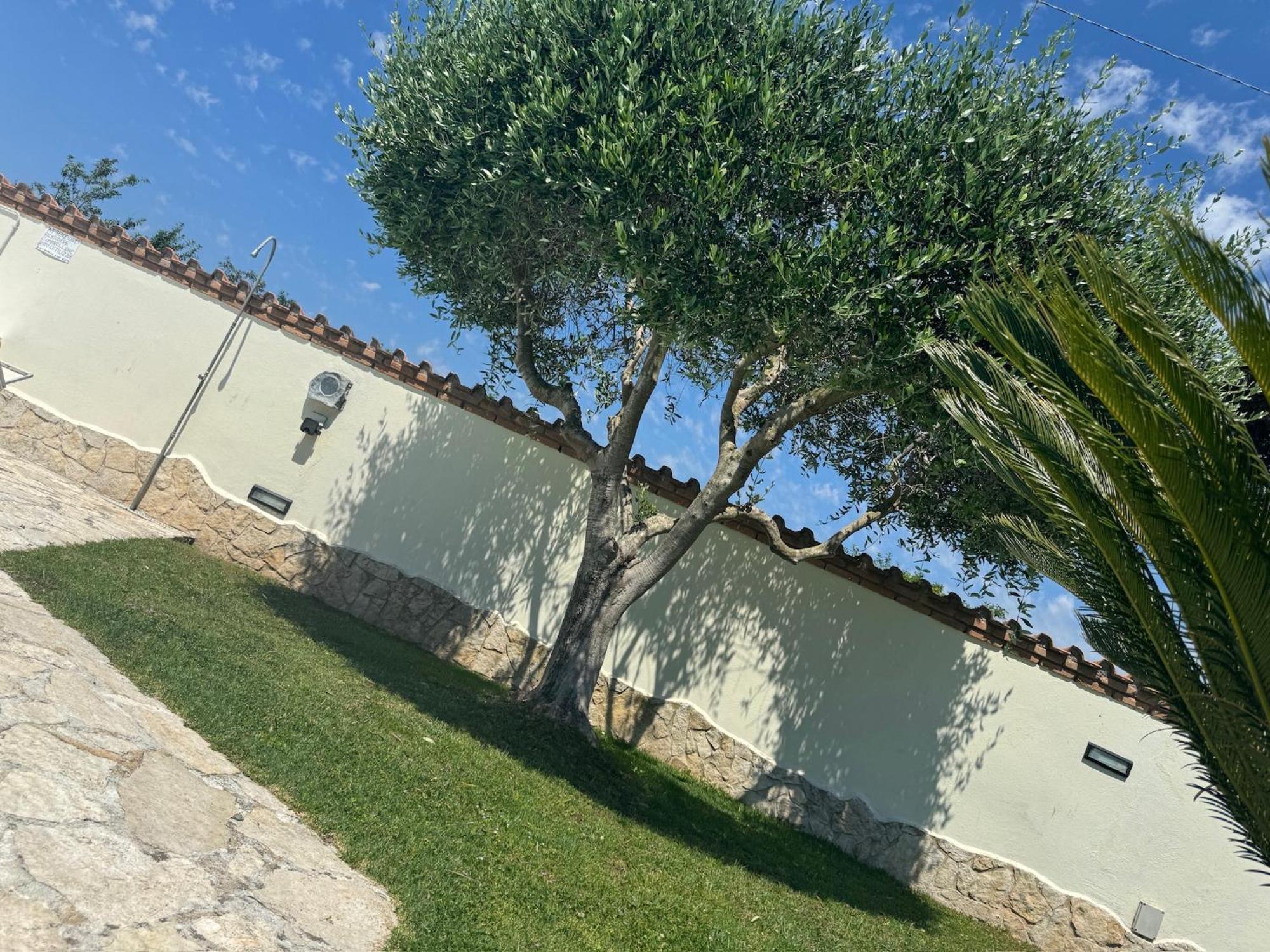 Gold House Luxury Anzio Villa Exterior foto